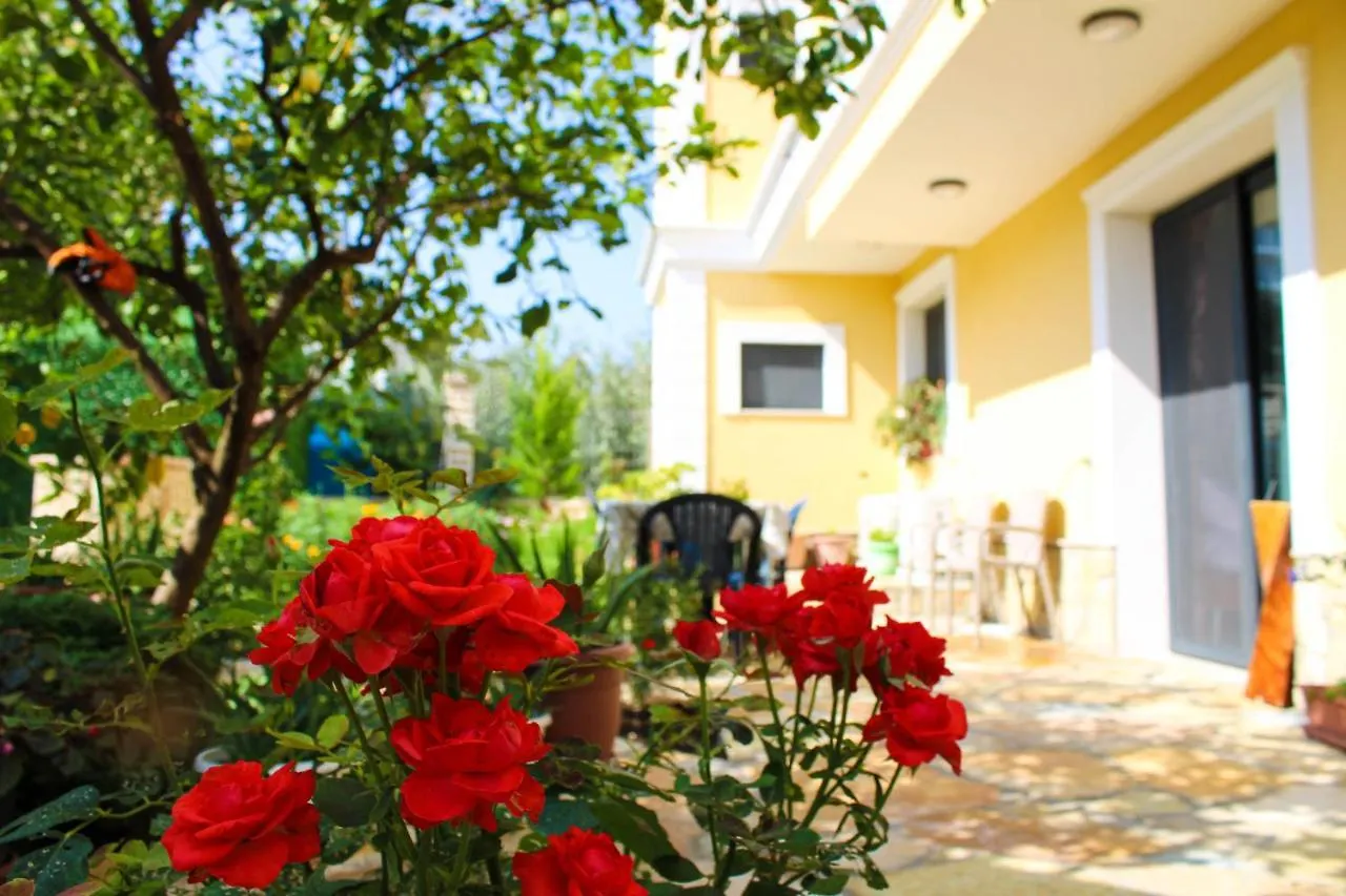 My Guest House Vlorë